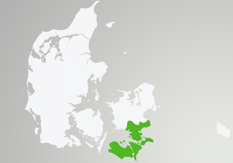 STORSTRØMS AMTS FORSAMLINGHUSFORENING